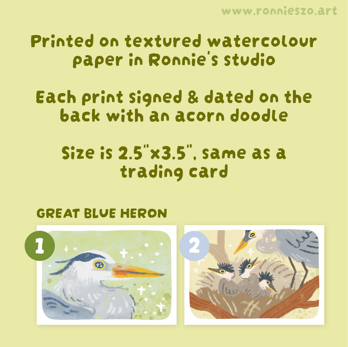 Mystery Mini Prints: HERONS