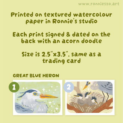 Mystery Mini Prints: HERONS