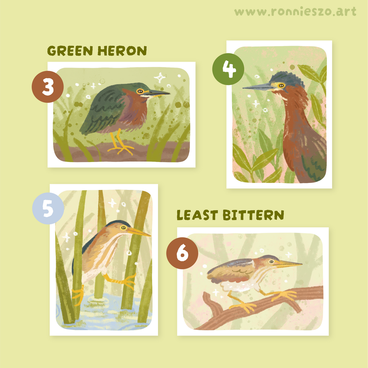 Mystery Mini Prints: HERONS