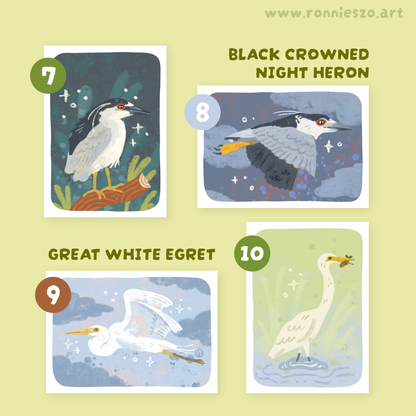 Mystery Mini Prints: HERONS