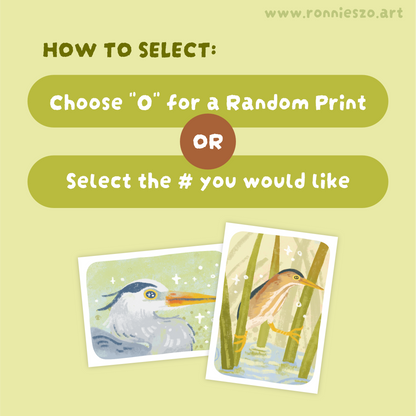 Mystery Mini Prints: HERONS