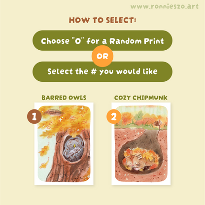 Mystery Mini Prints: FALL