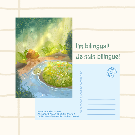 Turtle Postcard